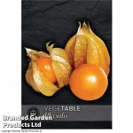 Physalis peruviana (Golden Berry) - Kew Vegetable Seed Collection