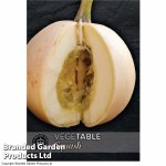 Squash 'Buffy Ball' F1 Hybrid (Winter) - Kew Vegetable Seed Collection