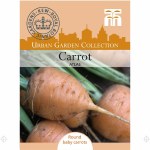 Carrot 'Paris Market Atlas' - Kew Collection Seeds