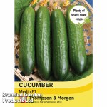 Cucumber 'Merlin' F1