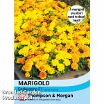 Marigold 'Endurance' F1