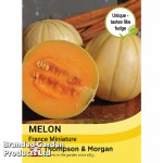 Melon 'France Miniature'