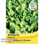 Spinach 'Patton' F1