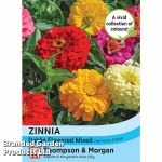 Zinnia 'Dahlia Flowered Mixed'