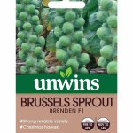Brussels Sprout Brenden F1