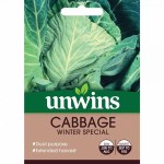 Cabbage (Spring Greens) Winter Special