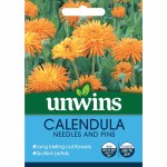 Calendula Needles And Pins