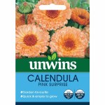 Calendula Pink Surprise