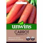 Carrot 'Resistafly' F1 Hybrid