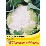 Cauliflower 'Boris' F1 Hybrid