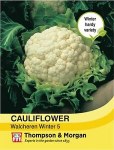 Cauliflower 'Walcheren Winter Pilgrim' (Spring)