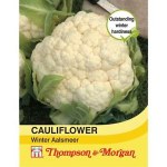 Cauliflower 'Winter Aalsmeer'