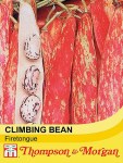 Climbing Bean 'Firetongue'