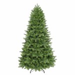 Colorado Spruce 2.1m (7ft)