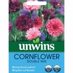 Cornflower Double Mix