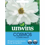 Cosmos Cosmonaut