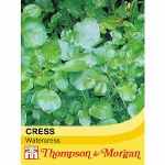 Watercress