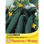 Cucumber 'Burpless Tasty Green' F1 Hybrid