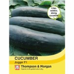 Cucumber 'Jogger' F1 Hybrid