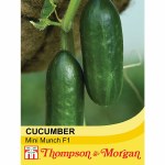 Cucumber 'Mini Munch' F1 Hybrid