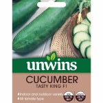 Cucumber Tasty King F1