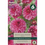 Dahlia Melissa Anna Marijke