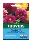 Dahlia Unwins Dwarf Hybrids