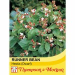 Runner Bean 'Hestia' (Dwarf)