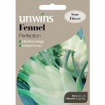 Fennel Florence Perfection