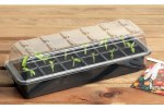 12 Cell Seed Starter Set - G212