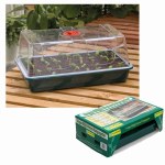 Large High Dome Propagator - G19