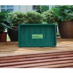 Standard Seed Tray Green With Holes - G17G