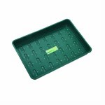 XL Seed Tray Green With Holes - G153G