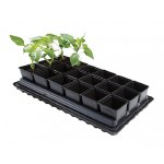 Professional Vegetable Tray Set