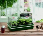 XL High Dome Electric Propagator