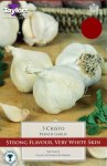 French Garlic Cristo 2 Bulbs