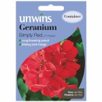 Geranium Simply Red