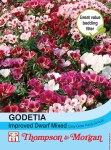 Godetia Improved Dwarf Mix