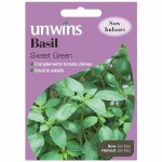 Basil 'Sweet Green'