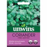 Coriander Fine Leaved