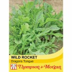 Rocket 'Dragon's Tongue'