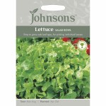 Lettuce Salad Bowl