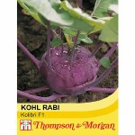 Kohl Rabi 'Kolibri' F1 Hybrid