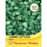 Lamb's Lettuce 'Favor'