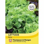 Lettuce 'Kyrio'