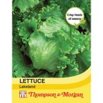 Lettuce 'Lakeland' (Iceberg/Crisphead)