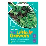 Little Growers Lettuce Cut n Come Again