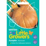 Little Growers Pumpkin Mammoth