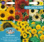 Sunflowers Collection