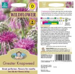 Greater Knapweed